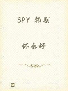 SPY 韩剧